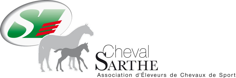 Cheval Sarthe