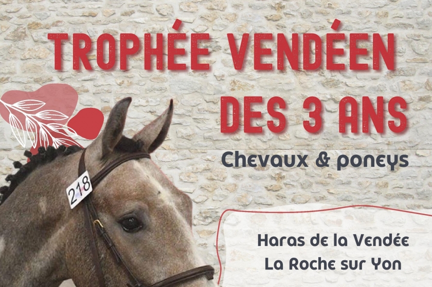 RESULTATS CONCOURS LOCAL QUALIFICATIF 2/3 ANS - TROPHÉE VENDÉEN DES 3 ANS