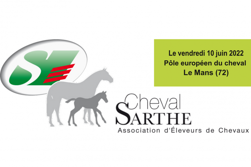 RESULTATS CONCOURS 2/3 ANS - TROPHÉE CHEVAL SARTHE