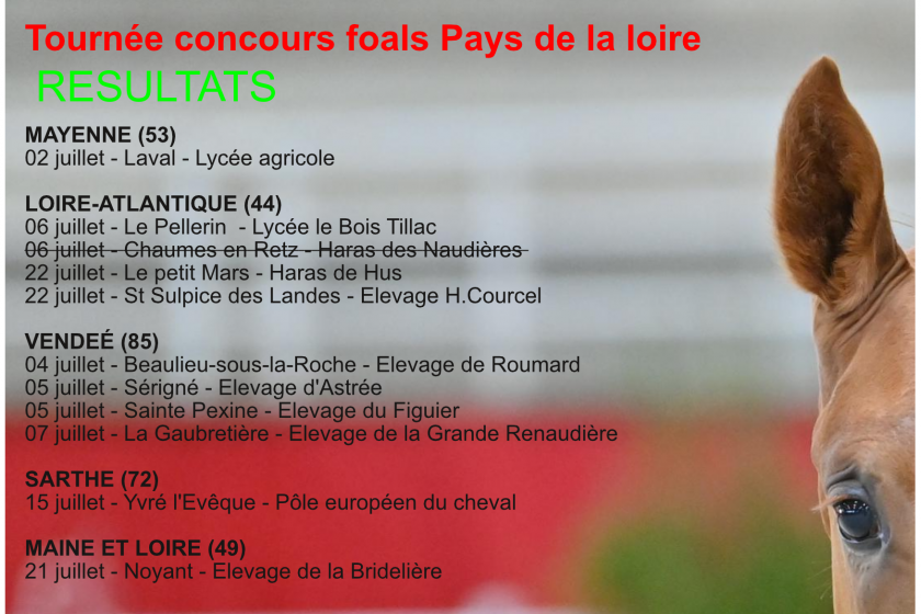 RESULTATS TOURNÉE DES FOALS