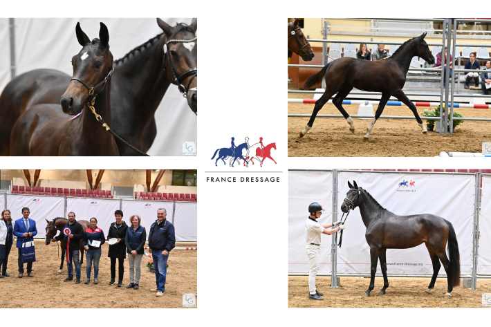 CHAMPIONNAT DE FRANCE DE DRESSAGE 2022