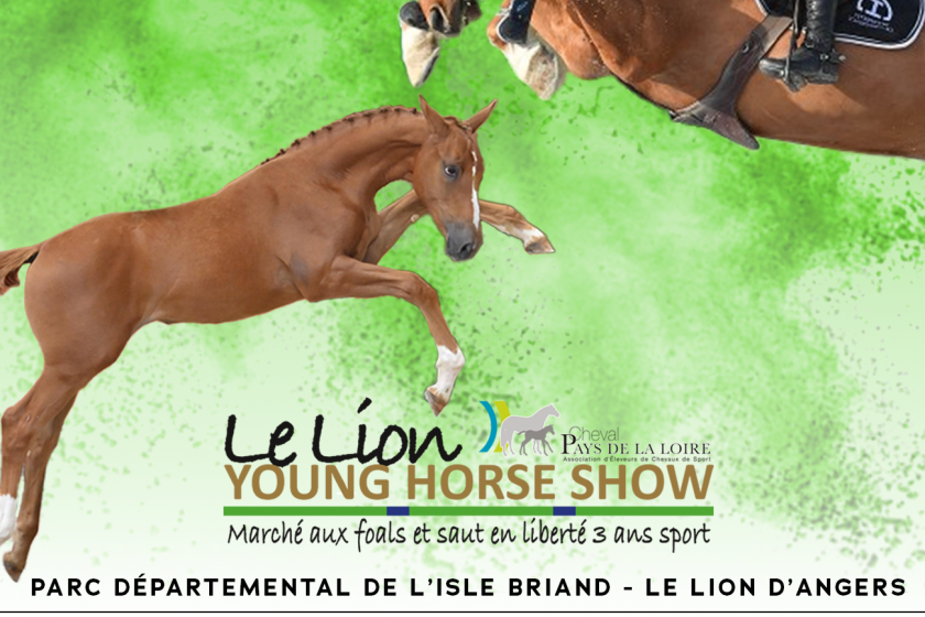 LE LION YOUNG HORSE SHOW REVIENT POUR UNE NOUVELLE EDITION