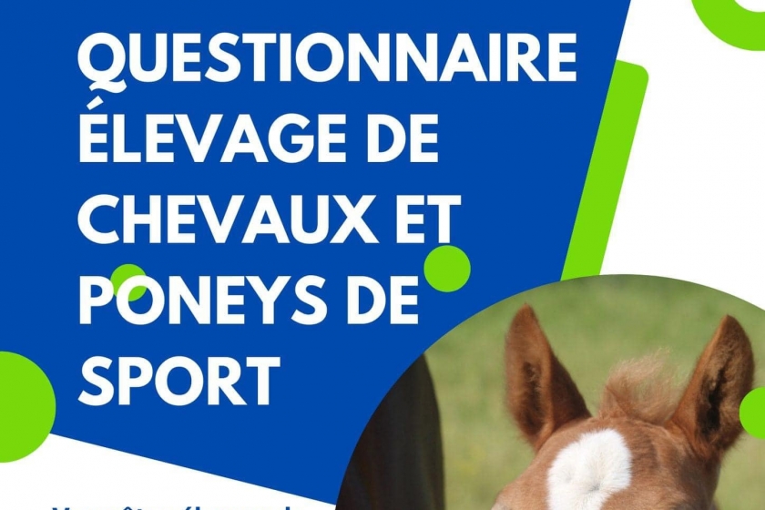 QUESTIONNAIRE : VOTRE  AVIS NOUS INTERESSE !